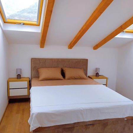Apartment Dora كوتور المظهر الخارجي الصورة
