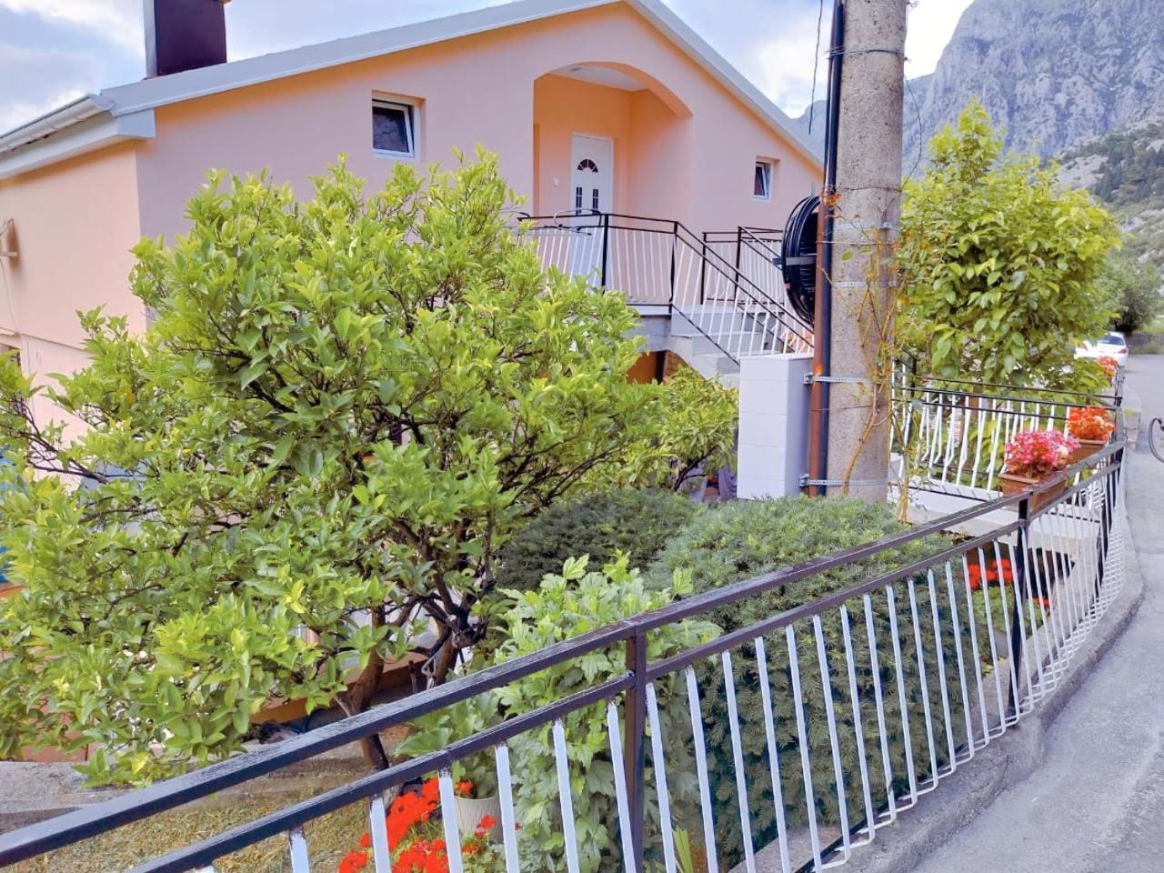 Apartment Dora كوتور المظهر الخارجي الصورة